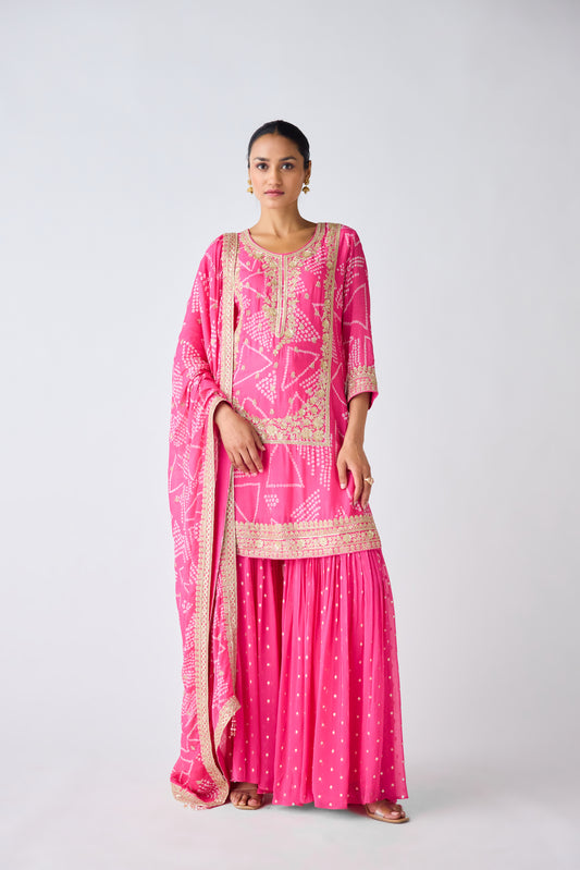 Rani Pink Embroidered Sharara Set