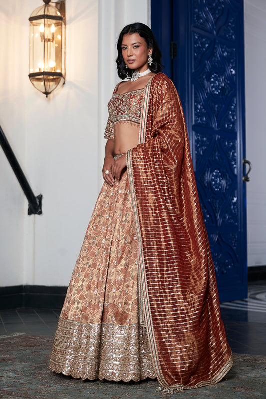 Rust Banarasi Weave Embroidered Lehenga Set